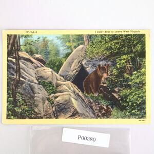 I Can't Bear to Leave West Virginia 1947 Linen Postcard Black Bears Nature